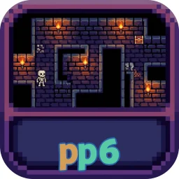 pp6