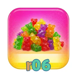 r06